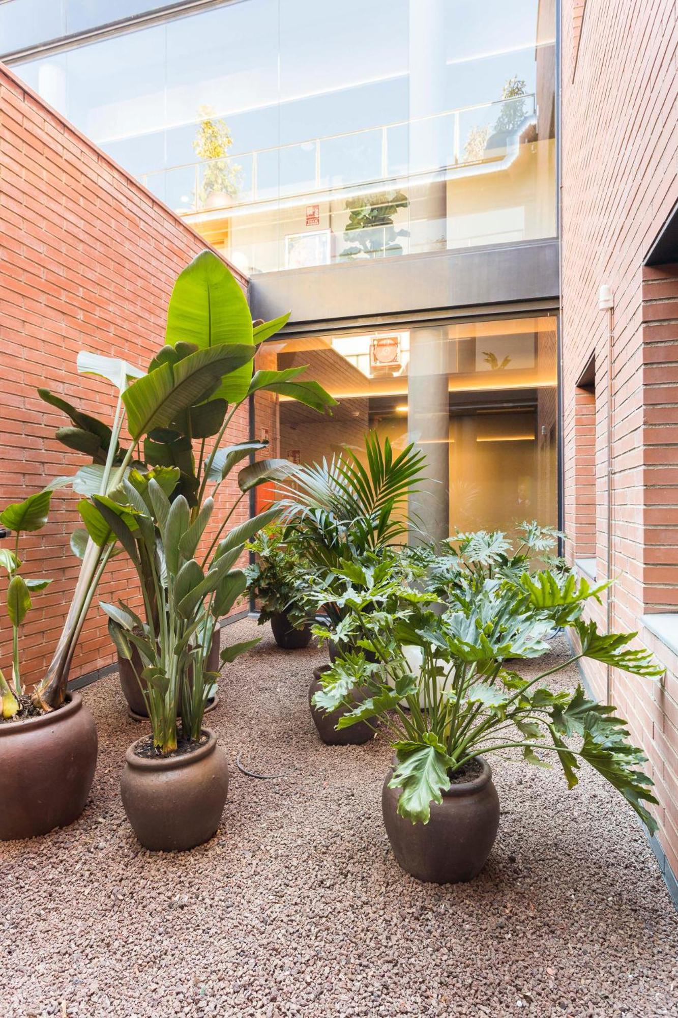 Hotel Terrassa Confort 外观 照片